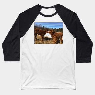 Scottish Highland Cattle Calves 1729 Baseball T-Shirt